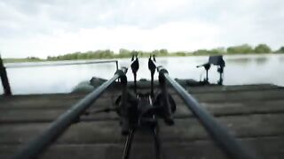 Переезд на новый участок Дуная принес карпа за пятнадцать килограммов