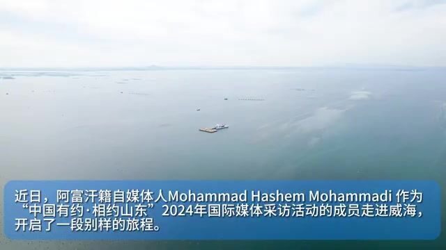 Морская ферма и морепродукты Вэйхая: знакомство с промыслом на побережье Китая