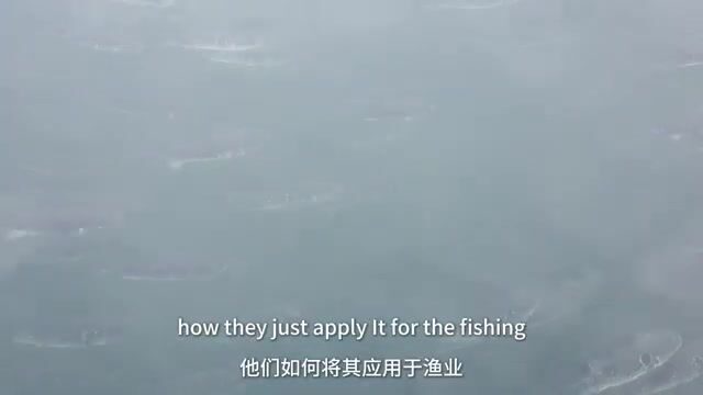 Морская ферма и морепродукты Вэйхая: знакомство с промыслом на побережье Китая