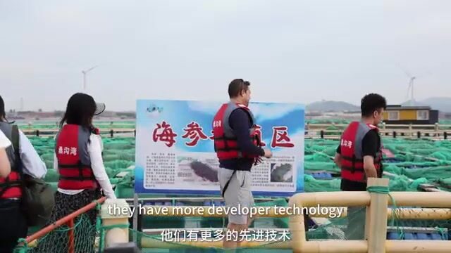 Морская ферма и морепродукты Вэйхая: знакомство с промыслом на побережье Китая