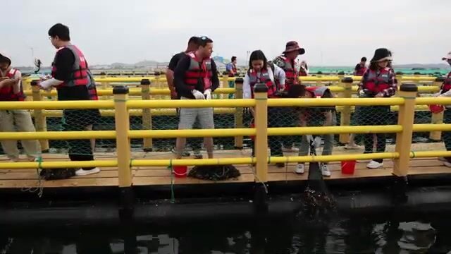 Морская ферма и морепродукты Вэйхая: знакомство с промыслом на побережье Китая