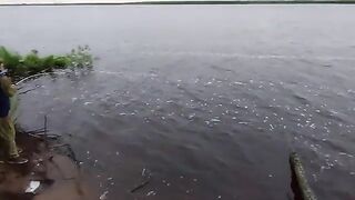 Ночной фидер и ужин на Краснофлотском острове