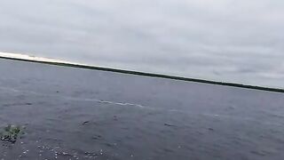 Ночной фидер и ужин на Краснофлотском острове