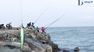 Спиннинг на камнях у Туихоа: выходим за морским хищником
