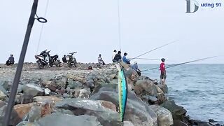 Спиннинг на камнях у Туихоа: выходим за морским хищником