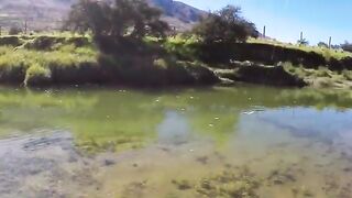 За кумжей с нахлыстом по рекам Маккензи в Новой Зеландии