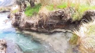 За кумжей с нахлыстом по рекам Маккензи в Новой Зеландии