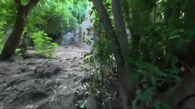Отдых в Олимпосе в Турции: бунгало, рассвет у моря и прогулка по античному городу