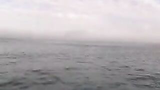 Морская рыбалка на сибаса у Эль-Джадиды в Марокко: поклевка и рыба в подсаке