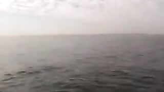 Морская рыбалка на сибаса у Эль-Джадиды в Марокко: поклевка и рыба в подсаке