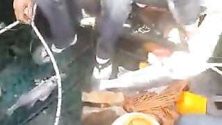 Морская рыбалка на сибаса у Эль-Джадиды в Марокко: поклевка и рыба в подсаке