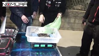 Ловля кальмара у Ольбии: как прошла встреча на пляже Салине