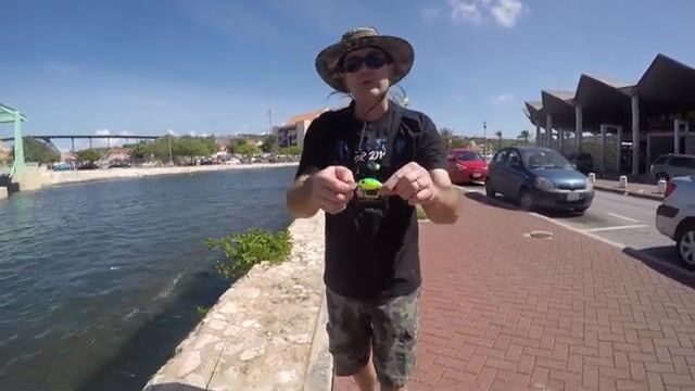 Рыбалка с берега в Виллемстаде на Кюрасао: прогулка у порта вместо выхода на каяке