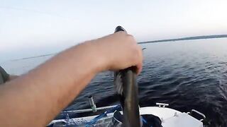 Вечерний выход на судака в Петрозаводской губе