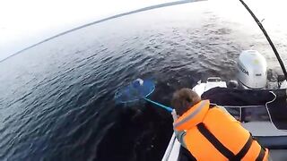 Вечерний выход на судака в Петрозаводской губе