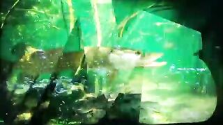От Онеги до Свири: окуневые точки у базы «Форпост Онега»
