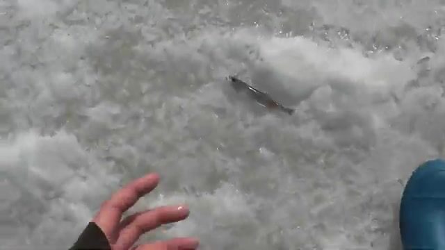 Семейная рыбалка на корюшку в Приморске: палатка, жерлицы и обед на льду
