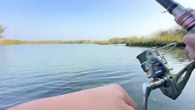 Щука среди высокой травы: спиннинговая рыбалка на грузинском водоеме