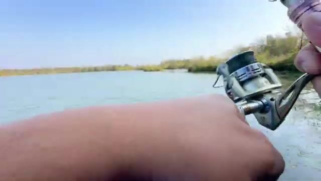 Щука среди высокой травы: спиннинговая рыбалка на грузинском водоеме