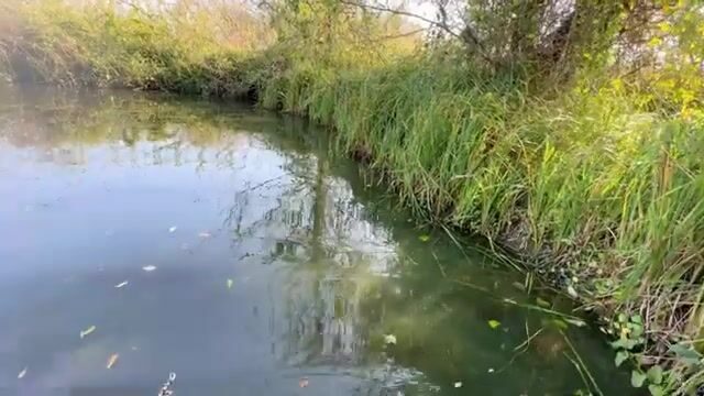 Щука среди высокой травы: спиннинговая рыбалка на грузинском водоеме