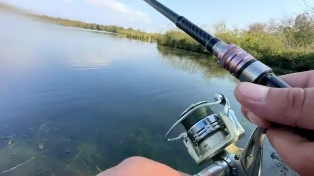 Щука среди высокой травы: спиннинговая рыбалка на грузинском водоеме