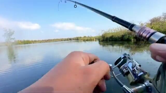 Щука среди высокой травы: спиннинговая рыбалка на грузинском водоеме