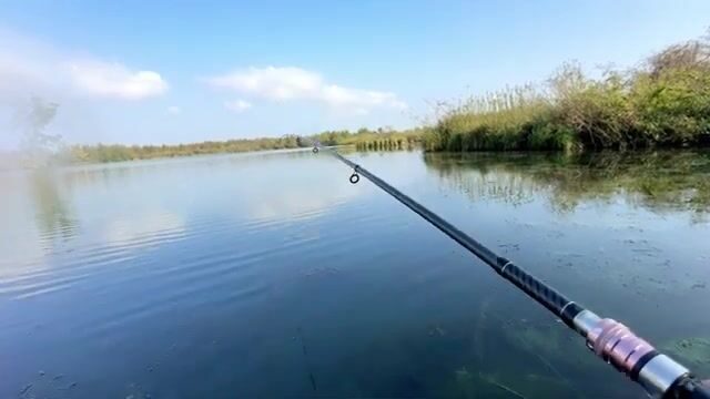 Щука среди высокой травы: спиннинговая рыбалка на грузинском водоеме