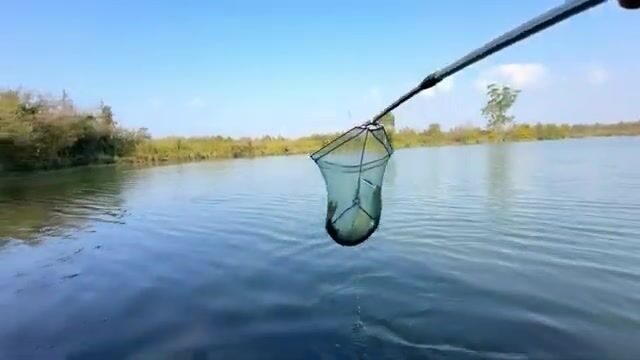 Щука среди высокой травы: спиннинговая рыбалка на грузинском водоеме