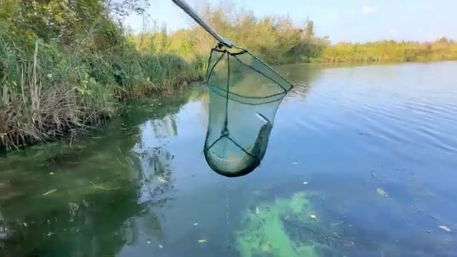 Щука среди высокой травы: спиннинговая рыбалка на грузинском водоеме