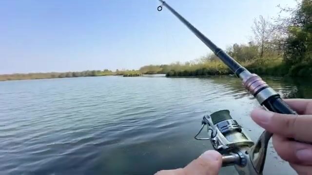 Щука среди высокой травы: спиннинговая рыбалка на грузинском водоеме