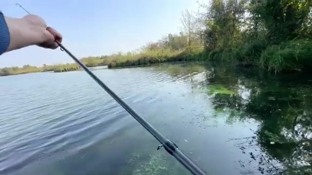 Щука среди высокой травы: спиннинговая рыбалка на грузинском водоеме