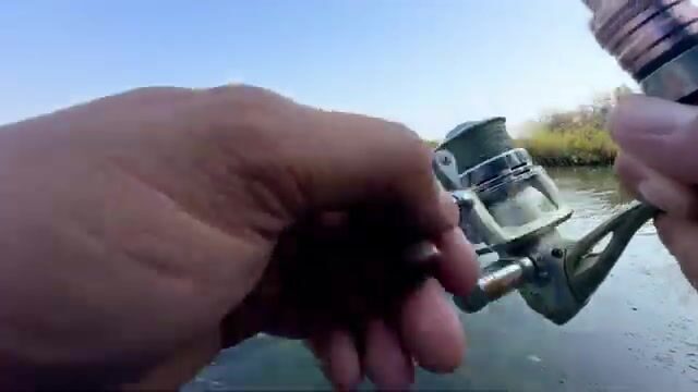 Щука среди высокой травы: спиннинговая рыбалка на грузинском водоеме