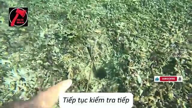 Рыбалка у Соломоновых островов: глубоководный заброс, островной лагерь и ужин под дождем