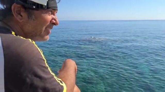 Летняя рыбалка с каменного берега в Италии: морской червь, осторожная поклевка и маленький горбыль
