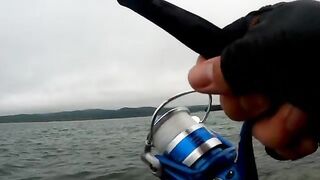 Русский остров: рокфишинг с берега, морской окунь и досадный сход