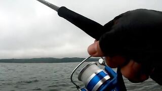 Русский остров: рокфишинг с берега, морской окунь и досадный сход