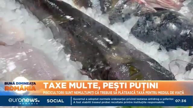 Рыбоводы Румынии о работе на Черном море и пресных водоемах: расходы на воду, снасти и разрешения