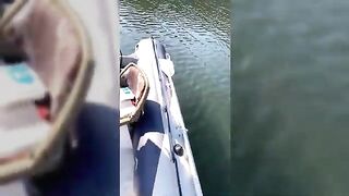 Крупная озерная форель в Румынии: вываживание у борта лодки