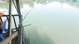 Ловля баррамунди в лагуне Тхи Най и обед у Куинёна