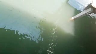 Ловля баррамунди в лагуне Тхи Най и обед у Куинёна