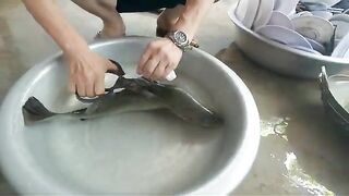 Ловля баррамунди в лагуне Тхи Най и обед у Куинёна