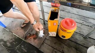 Ловля баррамунди в лагуне Тхи Най и обед у Куинёна