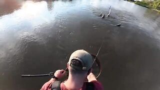 Большой голавль на вращалку в летний вечер у Муреша