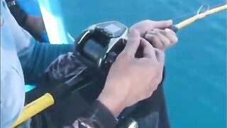 Глубоководная рыбалка у Куинёна: вываживание с электрической катушкой