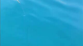Глубоководная рыбалка у Куинёна: вываживание с электрической катушкой