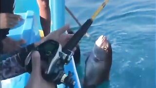 Глубоководная рыбалка у Куинёна: вываживание с электрической катушкой