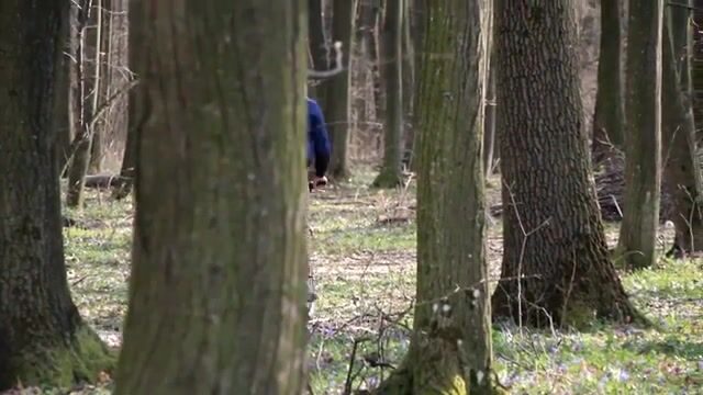 Рыбалка на румынских водоемах: дорога, забросы и возвращение рыбы в воду