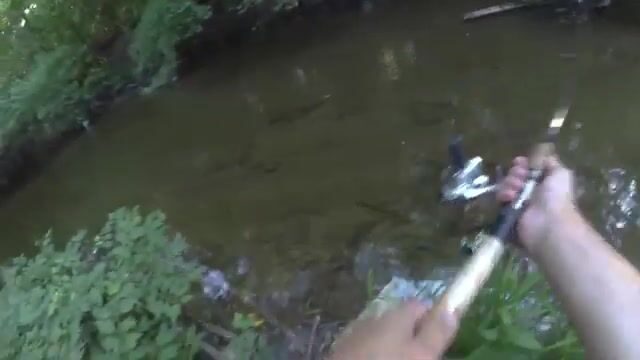 Рыбалка на румынских водоемах: дорога, забросы и возвращение рыбы в воду