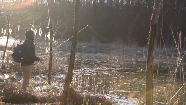 Рыбалка на румынских водоемах: дорога, забросы и возвращение рыбы в воду