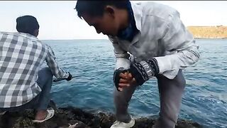 Возвращение на родные скалы Нёнли: двенадцать рыб у Куинёна